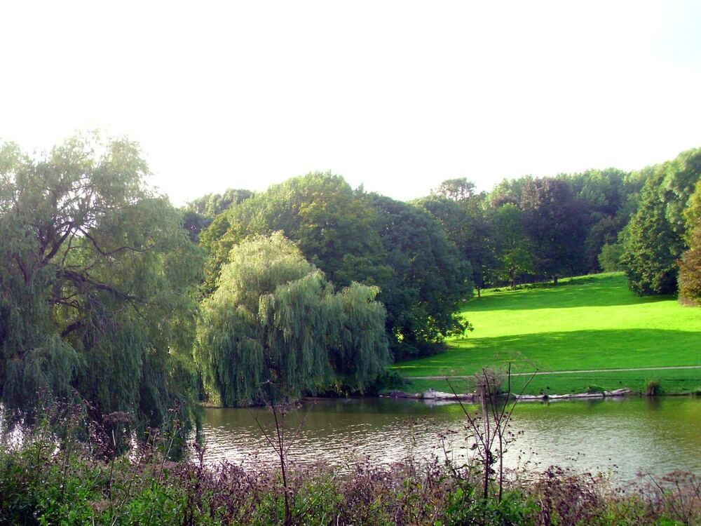 Vijver omzoomd door groene bomen en gazons in het Elsenburgerbos in Rijswijk